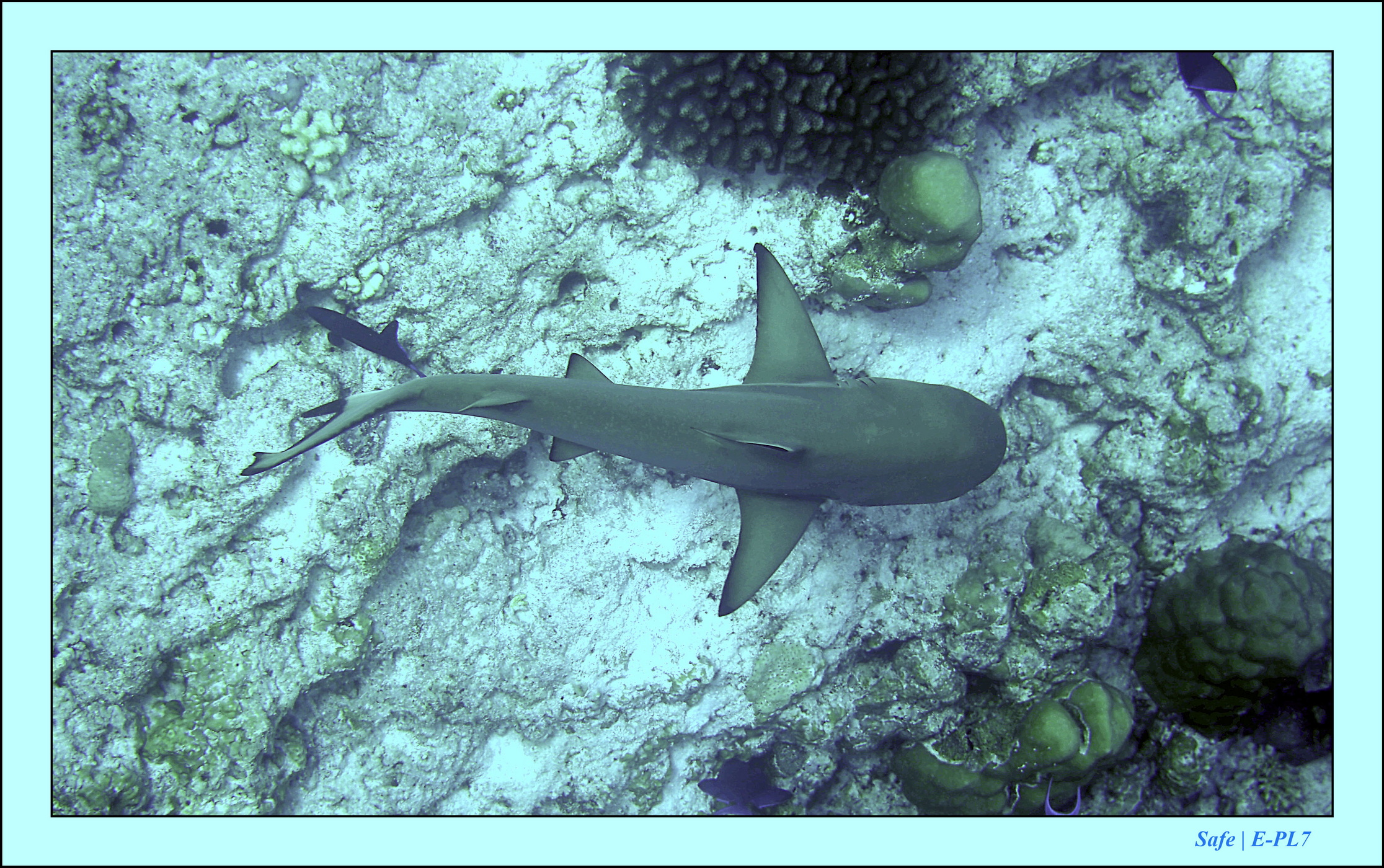 2023 - 07 - Sandies Bathala - 148